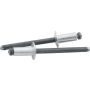 ALLSTAR PERFORMANCE ALL18101 Sm Hd Rivet Silver 250pk
