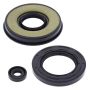 Vertex Pistons 55176 Vertex Gaskets 1995 Arctic Cat ZR 400 Oil Seal Kit