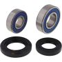 All Balls Racing 25-1042 Wheel Bearing Kits