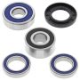 All Balls Racing 25-1383 75-77 Suzuki TS125 Wheel Bearing Kit - Rear