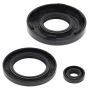 Vertex Pistons 55111 Vertex Gaskets 91-93 Arctic Cat Cheetah Touring Oil Seal Kit