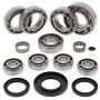 All Balls Racing 25-2090 06-11 Polaris Hawkeye 2x4 Transaxle Bearing & Seal Kit