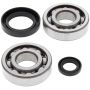 All Balls Racing 24-1004 84-91 Honda CR250R Crank Shaft Bearing Kit