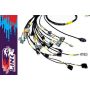 Rywire RY-K2-LINK-NA Honda K-Series Naturally Aspirated w/LINK G4 ECU Engine Harness (w/4 Inj / No EMAP/Boost)