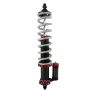 QA1 RCK52452 78-96 GM B-Body Pro Rear Coil-Over System - MOD Series - 12in x 200lbs/in - Aluminum