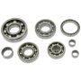 Hot Rods HR00076 16-21 Pioneer 500/07-21 TRX 420 FE/07-21 TRX 420 FM Transmission Bearing Kit