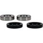 Pivot Works 25-1081-P Honda, KTM Wheel Bearing Kit Premium Bearings