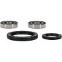 Pivot Works 25-1753-P Suzuki Wheel Bearing Kit Premium Bearings