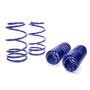 Ford Racing M-5300-L 2007-2014 Mustang Shelby GT500 Springs