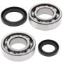 All Balls Racing 24-1037 85-92 Suzuki LT-250R Crank Shaft Bearing Kit