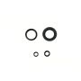 Athena P400210400282 Engine Oil Seal Kits