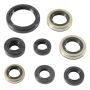 Vertex Pistons 822485 Vertex Gaskets 16-18 Kawasaki KX450F Oil Seal Kit