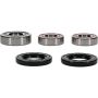 Pivot Works 25-1779-P Honda Wheel Bearing Kit Premium Bearings