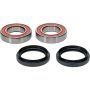 Pivot Works 25-1508-P Yamaha Wheel Bearing Kit Premium Bearings