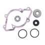 Vertex Pistons 721258 Vertex Gaskets 06-07 Ski-Doo MX Z 440 Racing LC Water Pump Rebuild Kit
