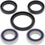 All Balls Racing 25-1080 00-02 KTM EXC 125 Wheel Bearing Kit Front