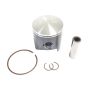 Athena S4C04500002A Cast Pistons