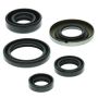 Vertex Pistons 822139 Vertex Gaskets 99-04 Honda TRX400EX Oil Seal Kit