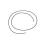 CHEVROLET PERFORMANCE GMP19166181 O-Ring Seal LSX Block Rear Cover