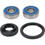 Pivot Works 25-1069-P Honda, KTM Wheel Bearing Kit Premium Bearings