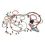 PAINLESS WIRING PWI60508 98-02 GM LS1 Fuel Inj. Wiring Harness