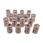 PAC RACING SPRINGS PACPAC-1202-16 1.244 Dual Valve Springs (16)