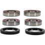 Pivot Works 25-1809-P Ducati Wheel Bearing Kit Premium Bearings