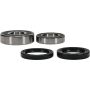 Pivot Works 25-1689-P Wheel Bearing Kit