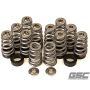 GSC Power Division 5017 GSC P-D Toyota G16E Conical Valve Spring and Ti Retainer Kit