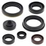 Vertex Pistons 822329 Vertex Gaskets 07-22 Suzuki RMZ250 Oil Seal Kit