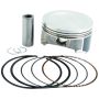 Vertex Pistons 24484050 Vertex Piston 09-13 Honda MUV 700 Big Red 700cc +0.50mm Oversized Cast Replica Piston Kit