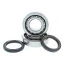 Hot Rods K095 2017-2024 Honda CRF 450 R 450cc Main Bearing & Seal Kit