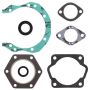 Vertex Pistons 711011A Vertex Gaskets  Sachs 290 SA290SS/SA290R FC1 Complete Gasket Kit w/ Oil Seals