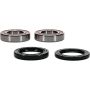 Pivot Works 25-1733-P Odes Wheel Bearing Kit Premium Bearings