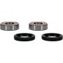 Pivot Works 25-1389-P Aprilia, Kawasaki, Triumph Wheel Bearing Kit Premium Bearings