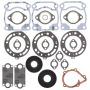 Vertex Pistons 711218 Vertex Gaskets 97-98 Polaris Storm Complete Gasket Kit w/ Oil Seals