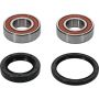 Pivot Works 25-1071-P Honda Wheel Bearing Kit Premium Bearings