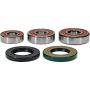 Pivot Works 25-1246-P Yamaha Wheel Bearing Kit Premium Bearings