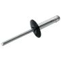 ALLSTAR PERFORMANCE ALL18063 Lg Hd Rivet 250Pk Black Flange Type Alum Mandrel