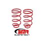 BMR Suspension SP017R Lowering Springs, Rear, 1