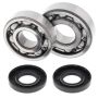 All Balls Racing 24-1007 85-87 Kawasaki KX125 Crank Shaft Bearing Kit