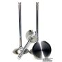 GSC Power Division 2251-10 GSC P-D Audi V10 5.2L 27mm Head STD 101.8mm Long Chrome Polished Alloy Exhaust Valve - Set of 10