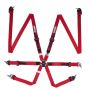 Racequip 856016 Red FIA CAMLOCK 6pt 2in Pull Up Lap FHR