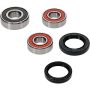 Pivot Works 25-1650-P Aprilia, BMW Wheel Bearing Kit Premium Bearings