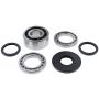 All Balls Racing 25-2115 2020 Polaris RZR Turbo Pro XP Differential Bearing & Seal Kit Front