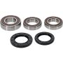 Pivot Works 25-1039-P Wheel Bearing Kit