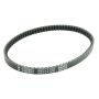 Athena S41PLAT008 Transmission Belts