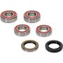 Pivot Works 25-1673-P BMW Wheel Bearing Kit Premium Bearings