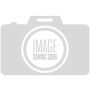 Clevite MS-2248P-.25MM