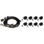 Haltech HT-130312 8 Channel High Output IGN-1A Inductive Coil & Harness Kit